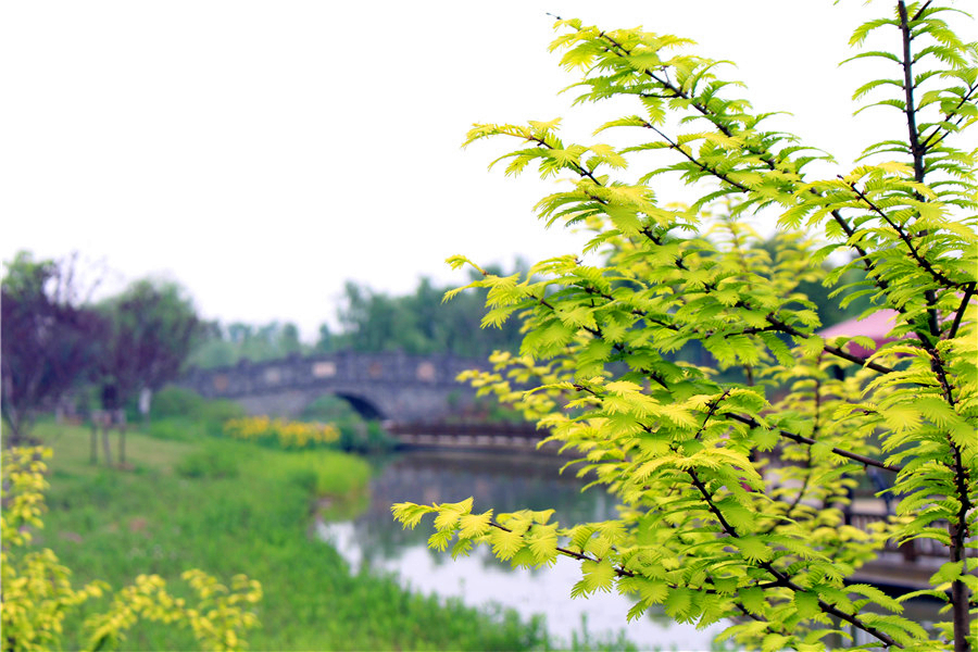 瓜果飄香，花香滿園—嬉樂灣生態(tài)農(nóng)業(yè)示范園