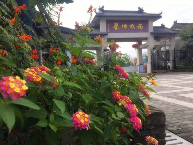 孩子們的樂園——嬉樂灣生態(tài)農(nóng)業(yè)示范園